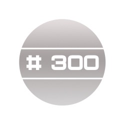 # 300